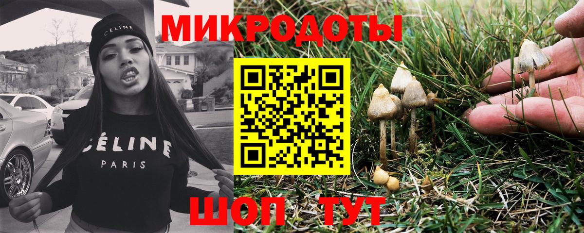 Галлюциногенные грибы прущие грибы  Вход с VPN  Горно-Алтайск 